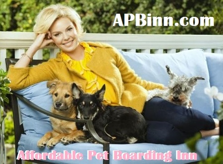 Affordable pet sales boarding near me