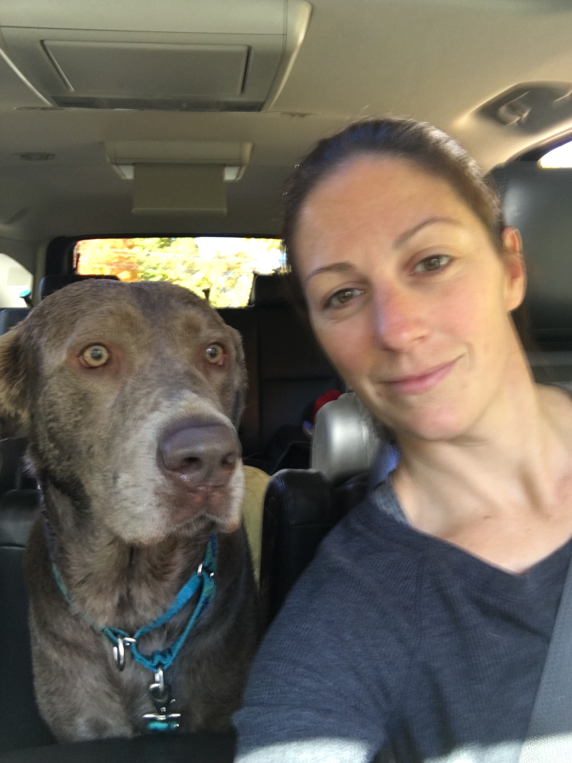 Tails in Motion's Photo