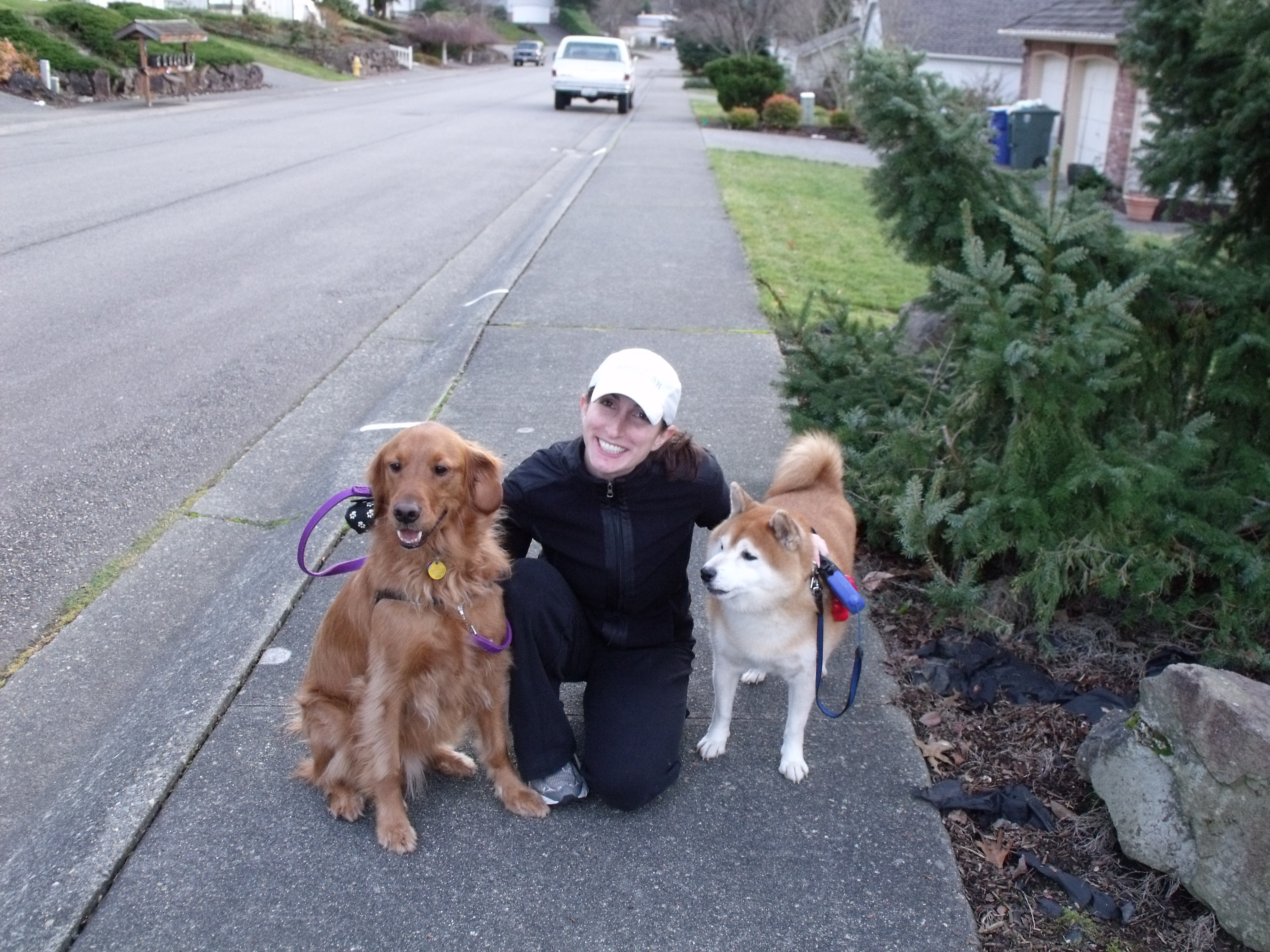 Pawblem Solved's Photo