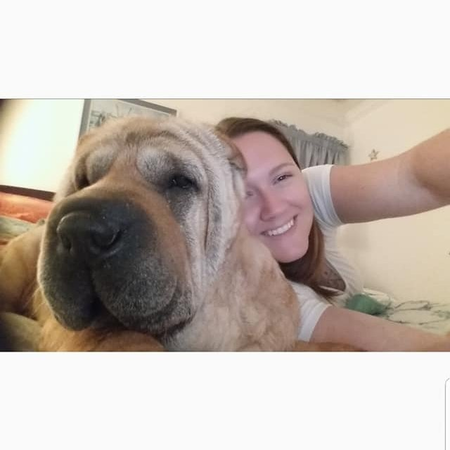 AllType Pet Care's Photo
