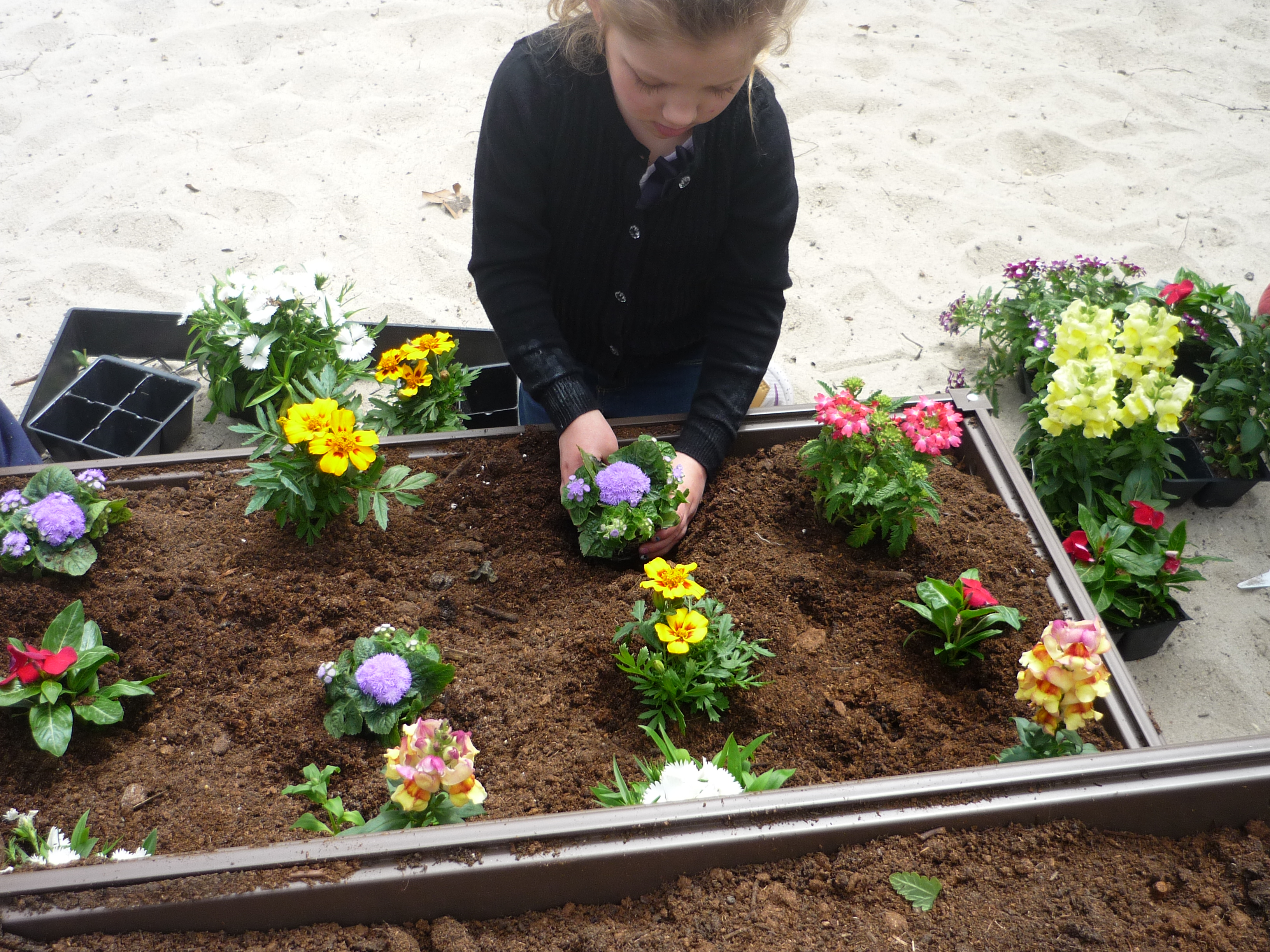 Buttons and  Bows Nursery School and Day Care Center's Photo