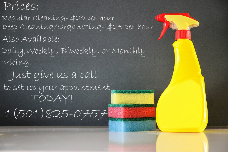 Spring Cleaners's Photo