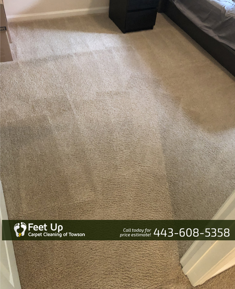 Feet Up Carpet Cleaning of Towson's Photo