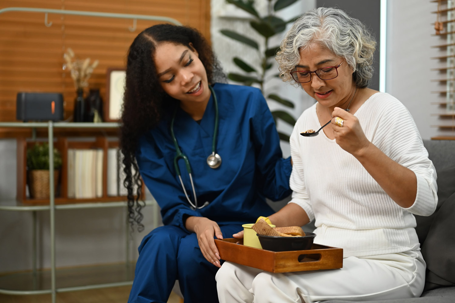 Premier Companion Care Agency LLC's Photo