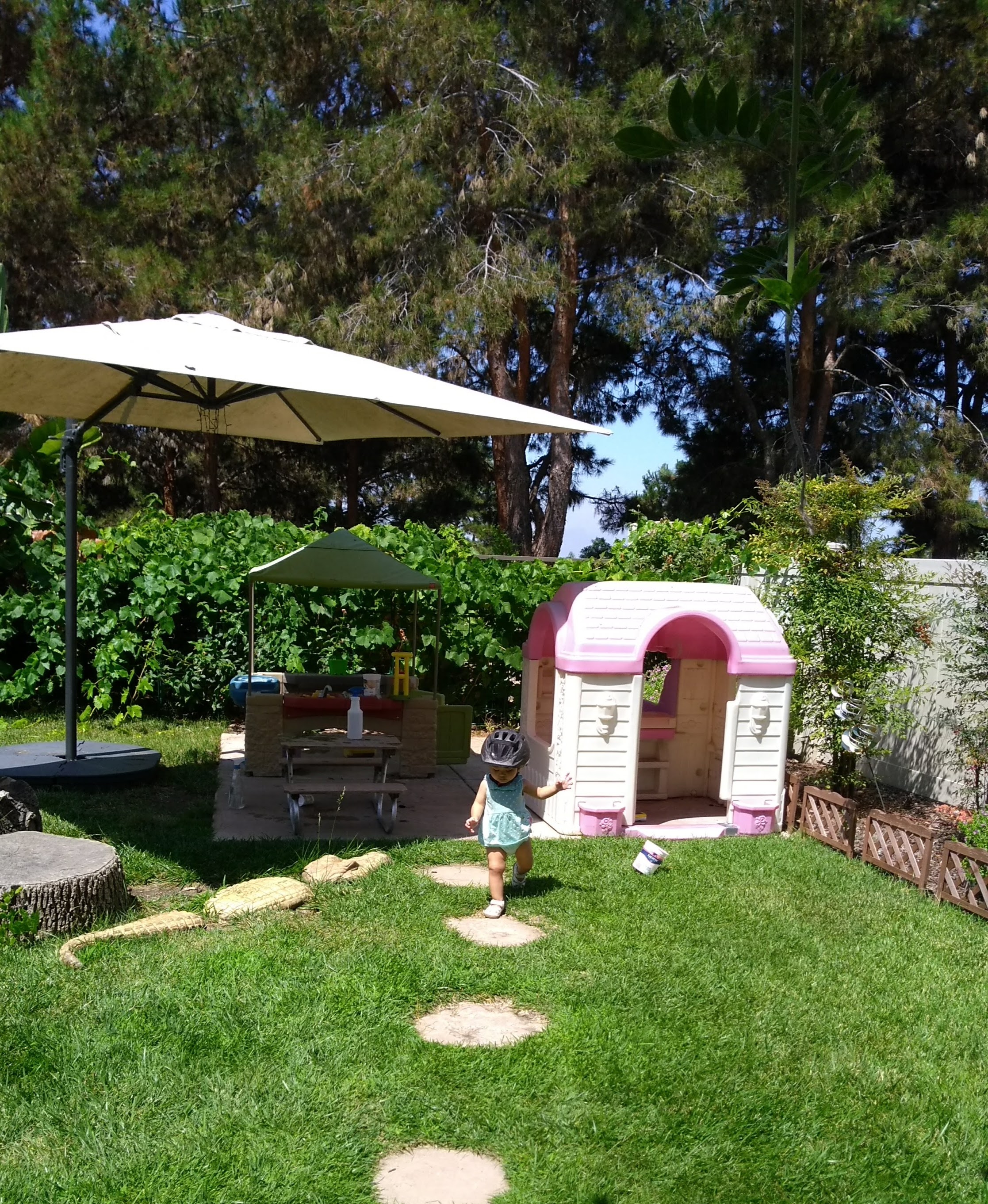 Keen Kiddos Place's Photo