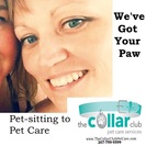 The Collar Club Pet Care