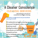 A Cleaner Conscience