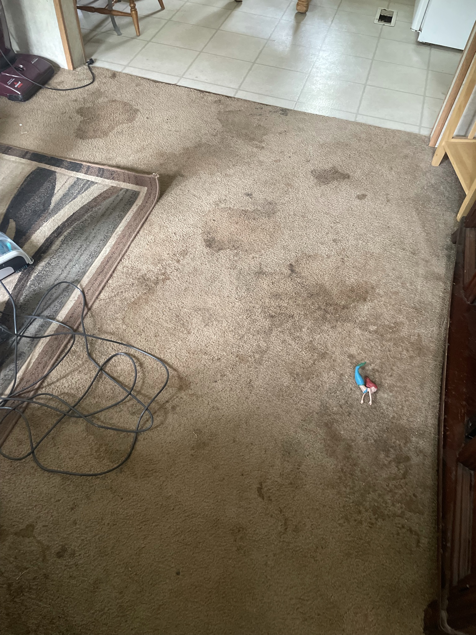 Never Not Satisfied Cleaning LLC's Photo
