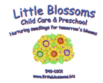 Little Blossoms Childcare & Preschool - Teacher's Sessions June'24