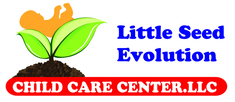 Little Seed Evolution Child Care Center Llc Logo