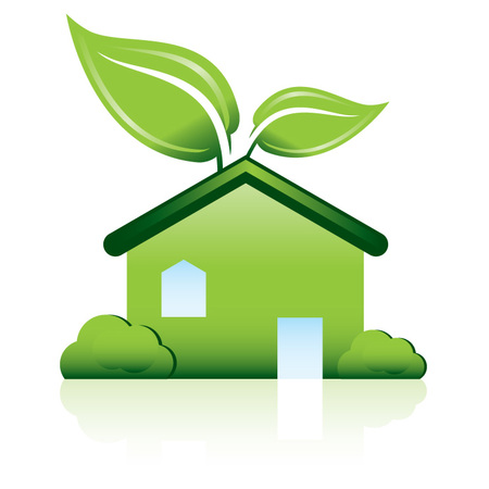 Clean Me Green's Photo