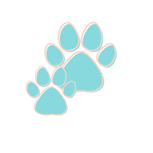 Furr Baby Boo's Photo