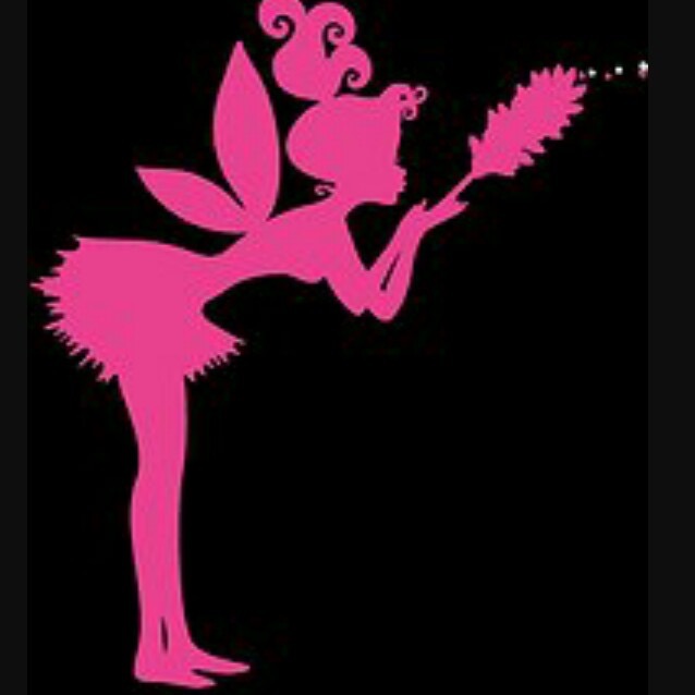 Cleaning Fairy's Photo