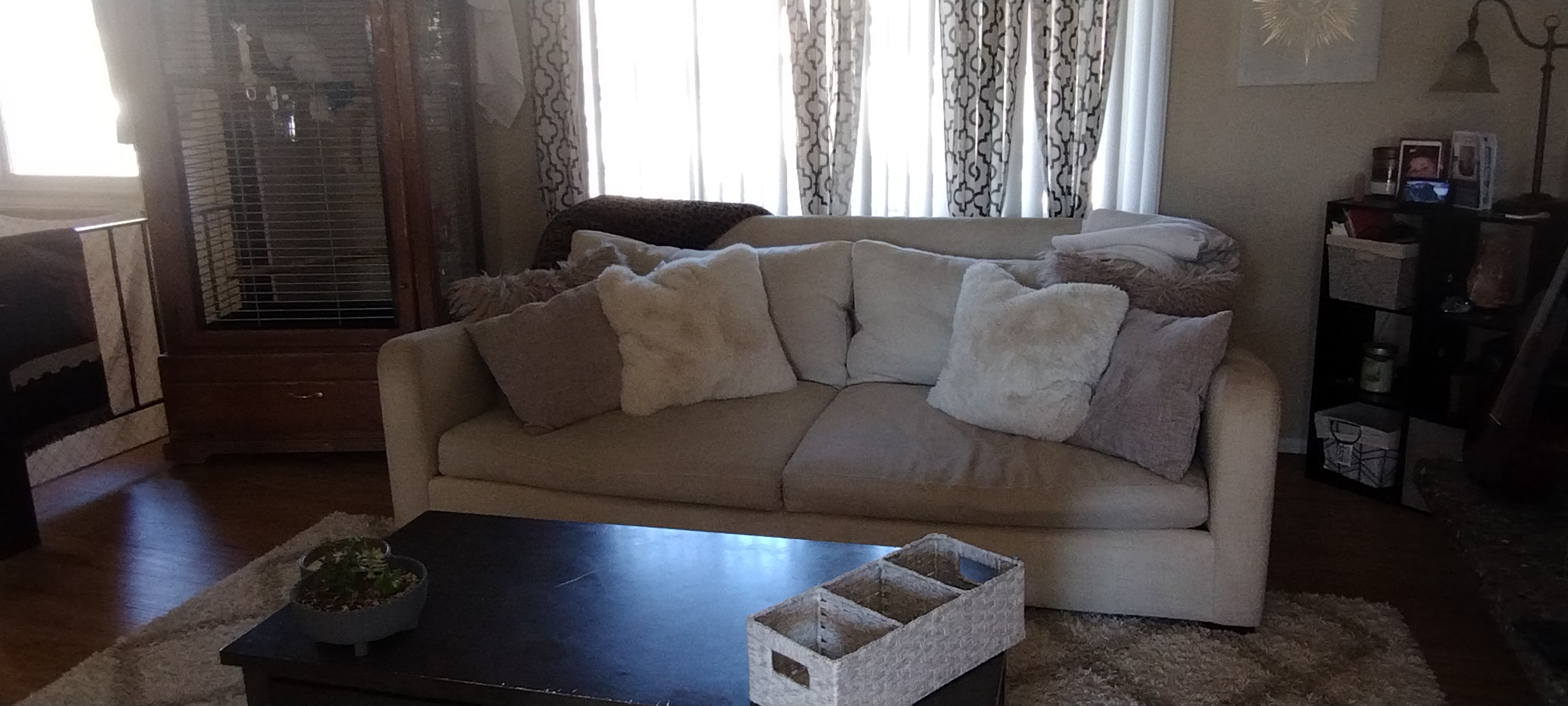 Savvy Cleaning and organizing,LLC's Photo