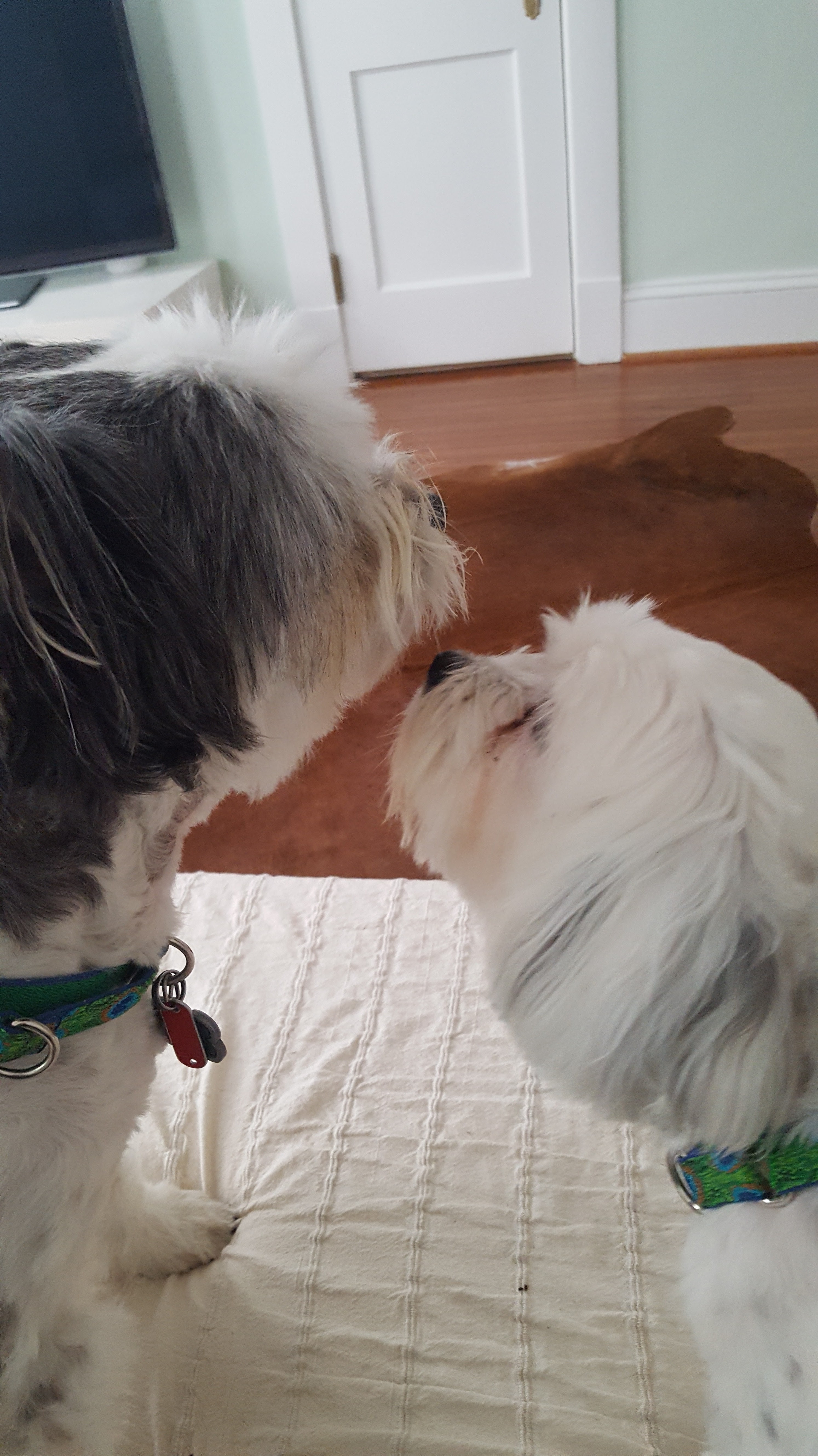 AHA CARE LLC's Photo