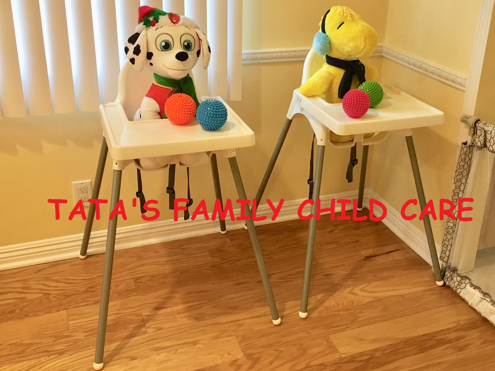 Tata's Family Child Care's Photo