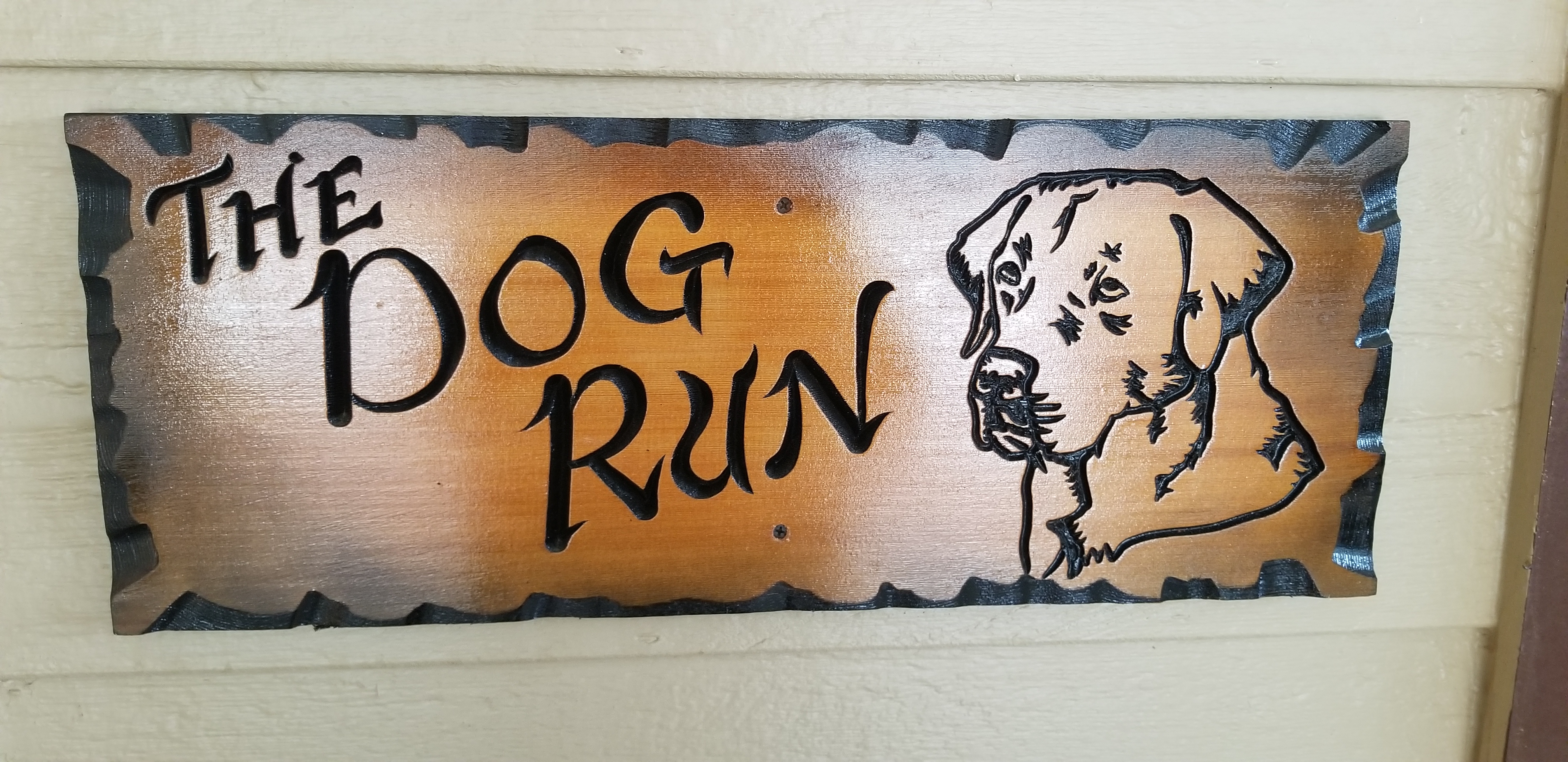 The Dog Run's Photo