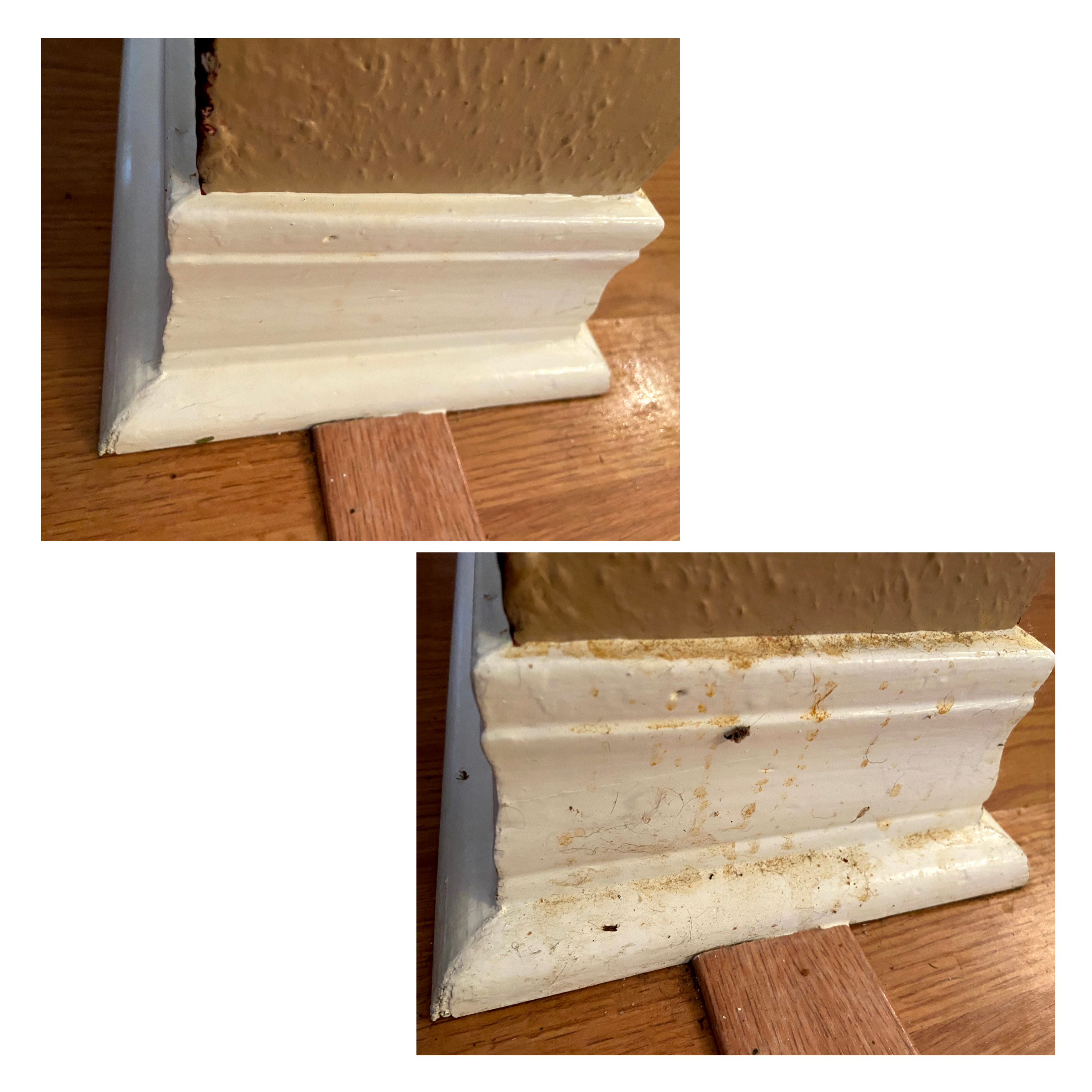 Tidy Life Company, LLC's Photo