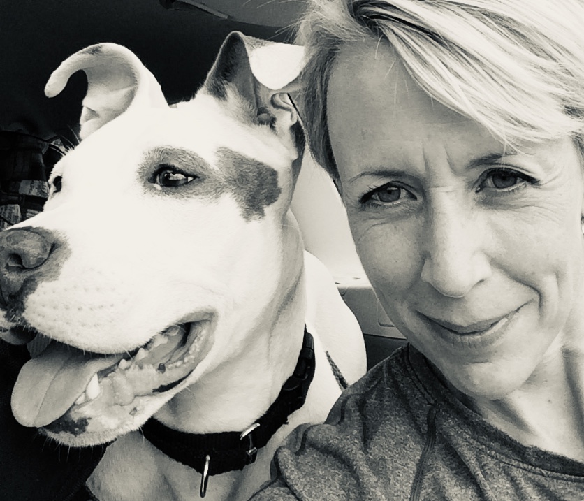 DogfitCT, LLC's Photo