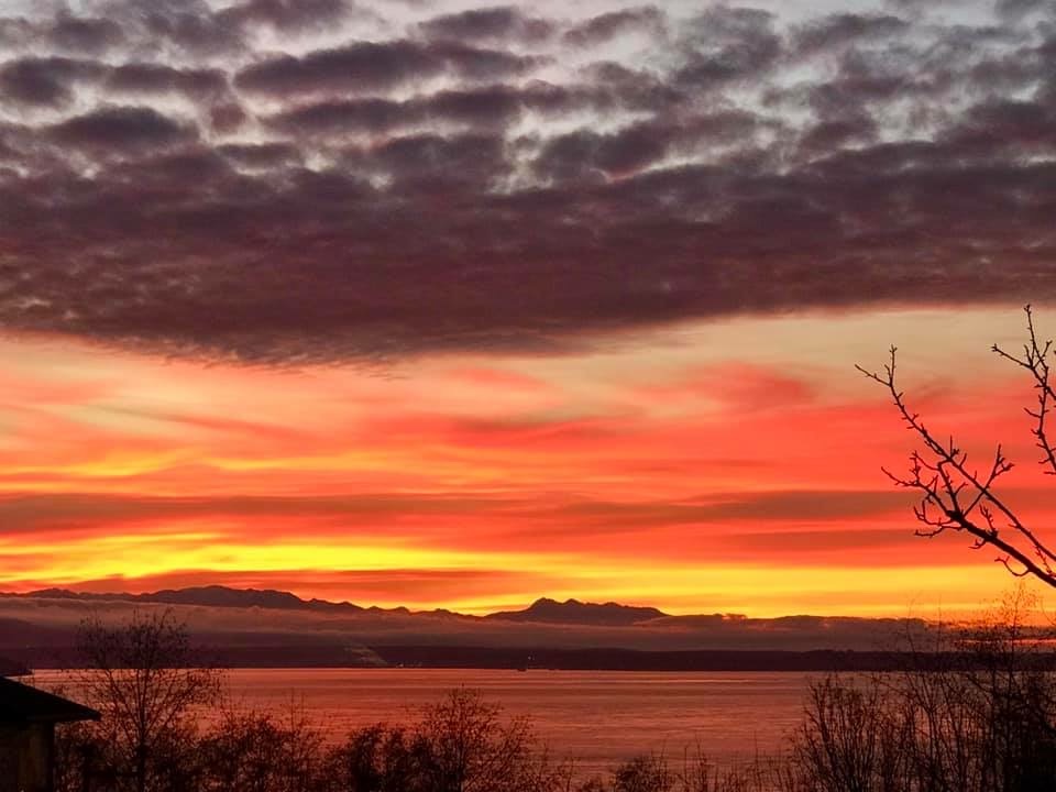 Kindred Hearts Home Care's Photo