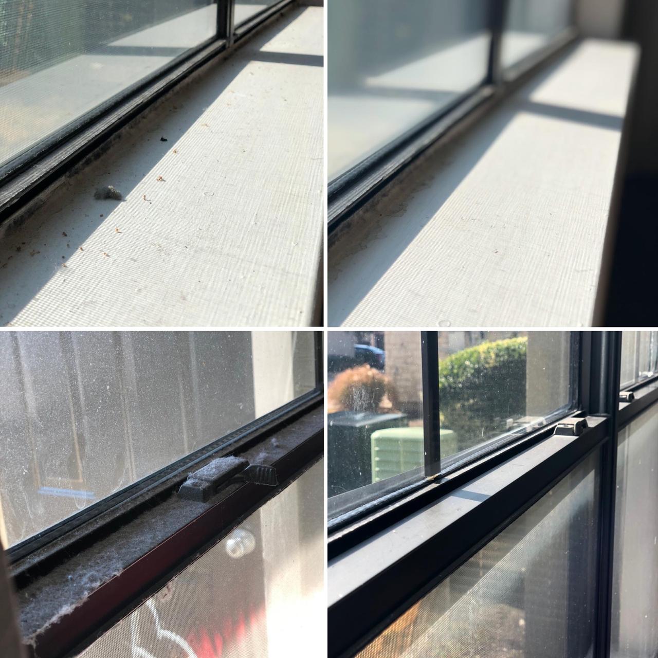 FINEST CLEANING's Photo