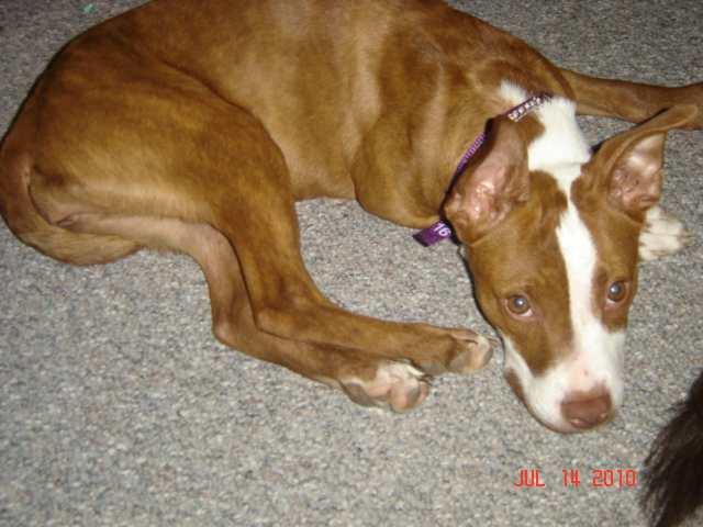 Creative Kidz Learning Center's Photo