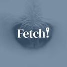 Fetch Pet Care Boca raton