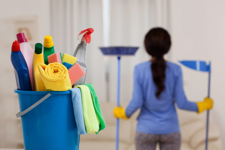 Lake Home Cleaner