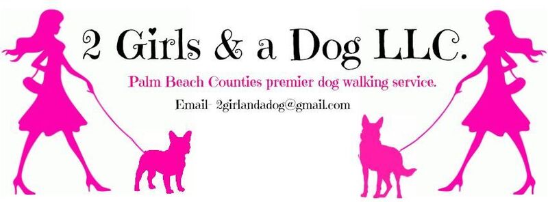 2 Girls & A Dog LLC's Photo