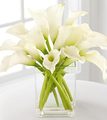 Spring Lily Janitorial Services L.L.C.
