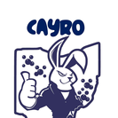 CAYRO Cleaning