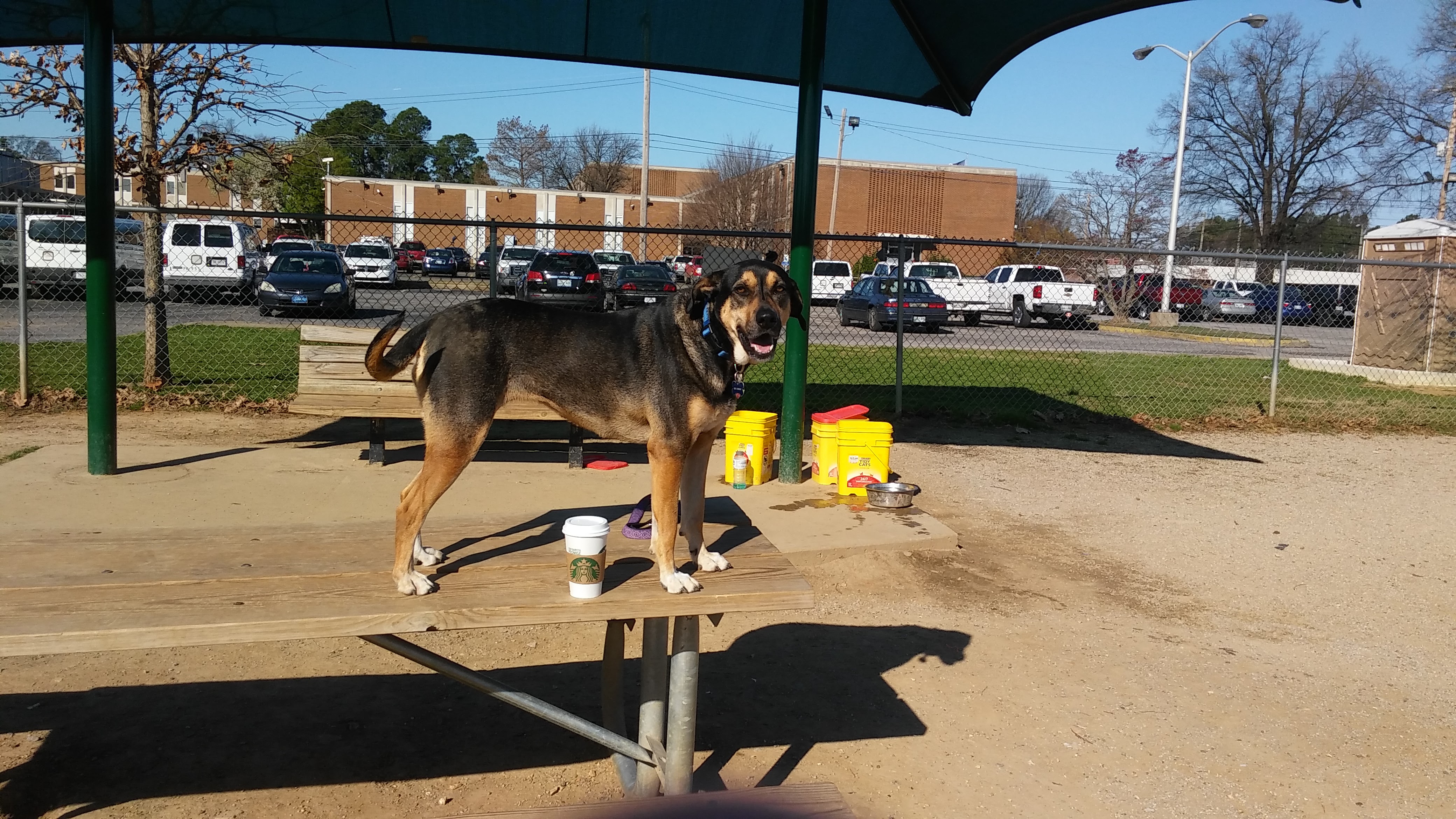 The Pawsome Pet Concierge's Photo