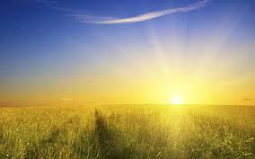 Sunshine Cleaning Company's Photo