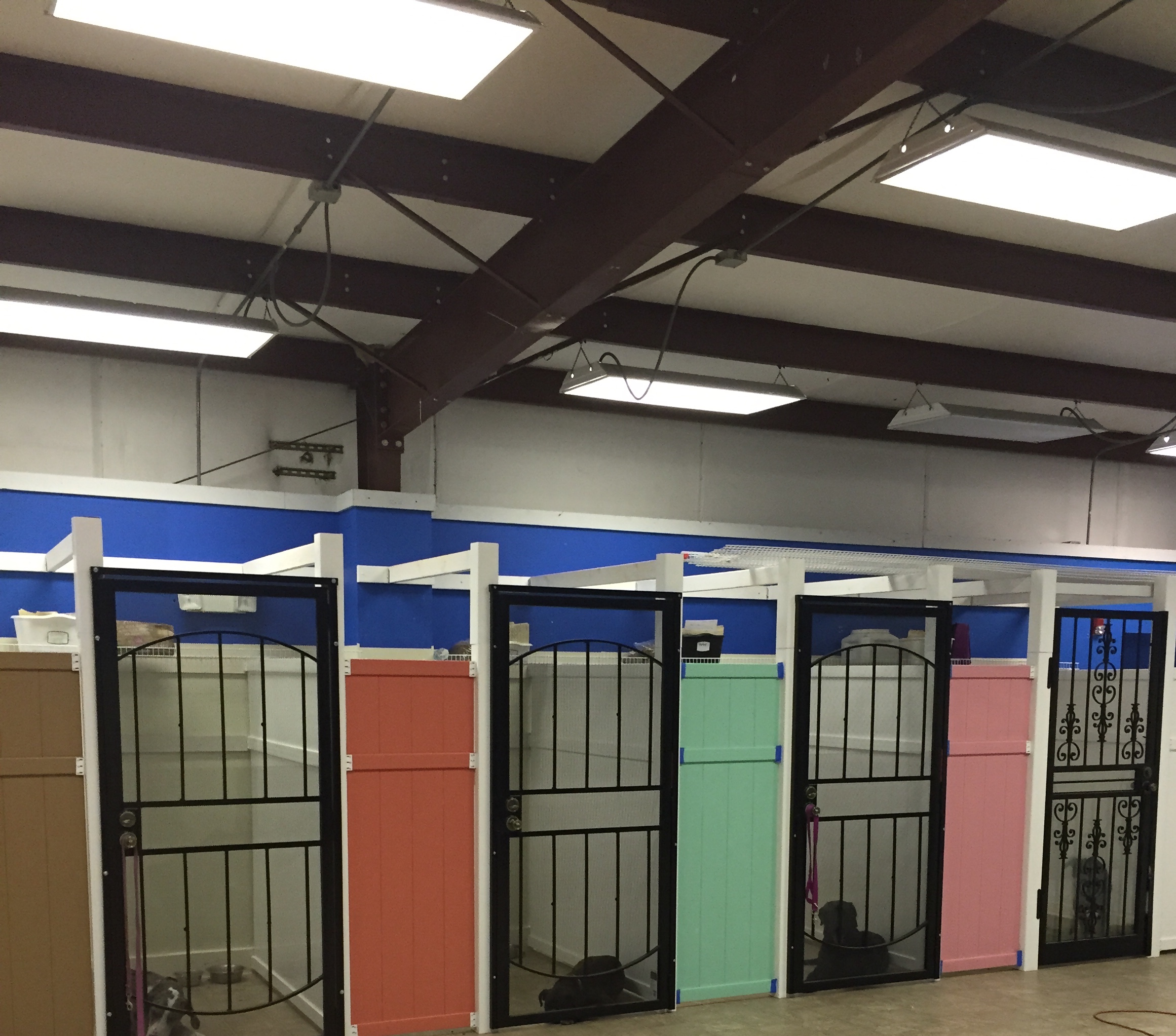 The Pet Mahal's Photo