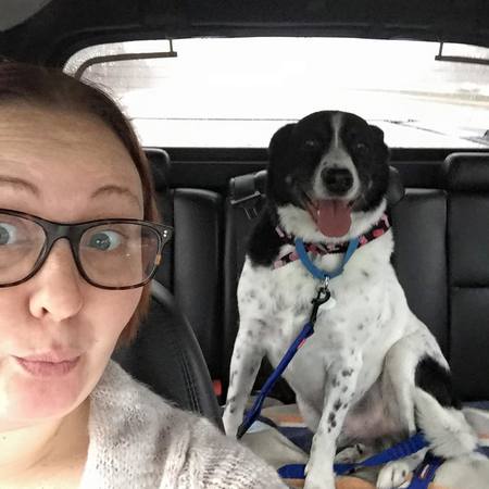 Just Friends Pet Care's Photo