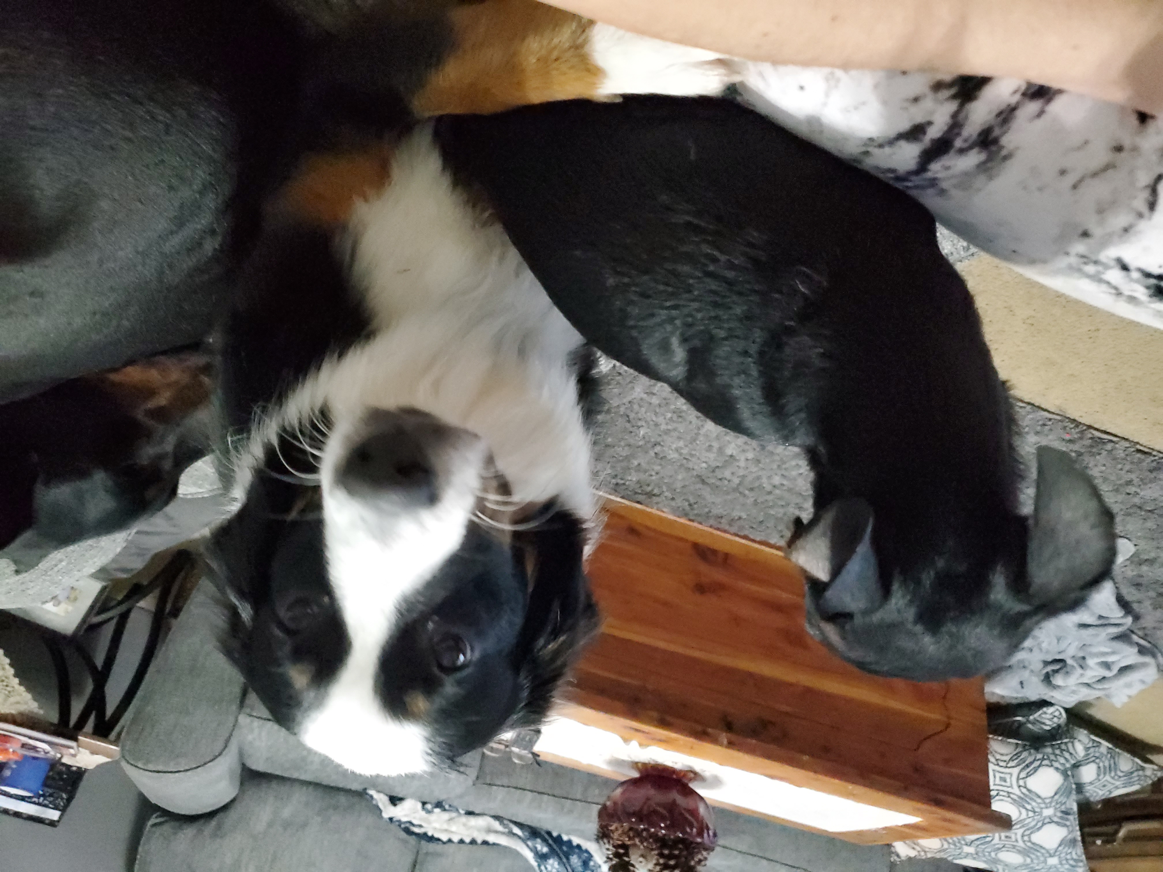 Sunnyside Daycare's Photo