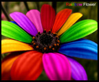Rainbow Kid Care Academy's Photo