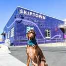 Skiptown