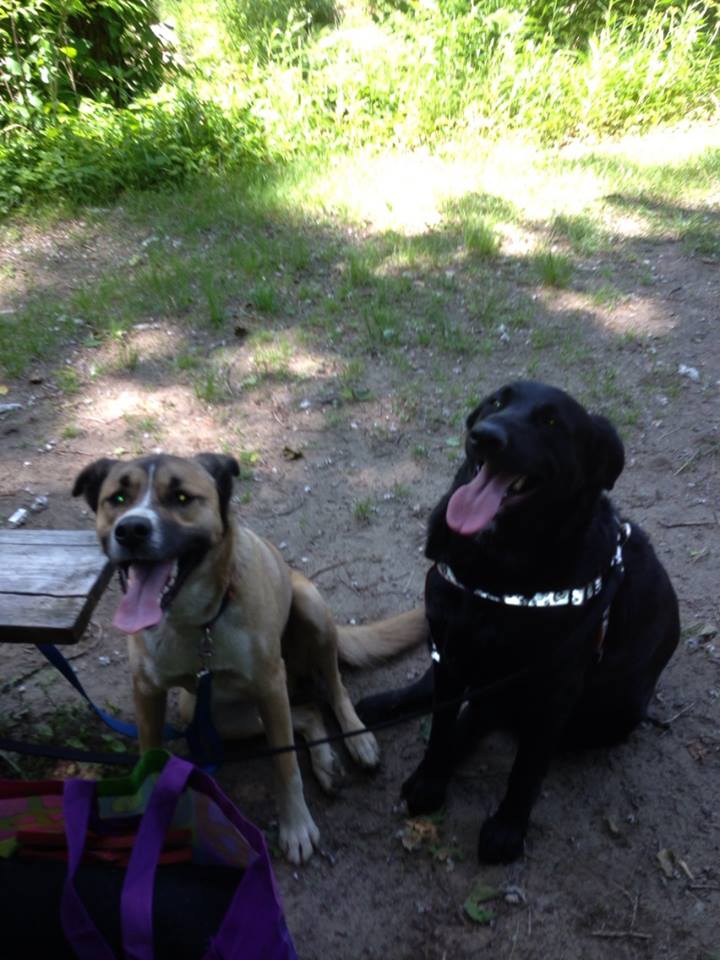 Mobile Pet Care's Photo