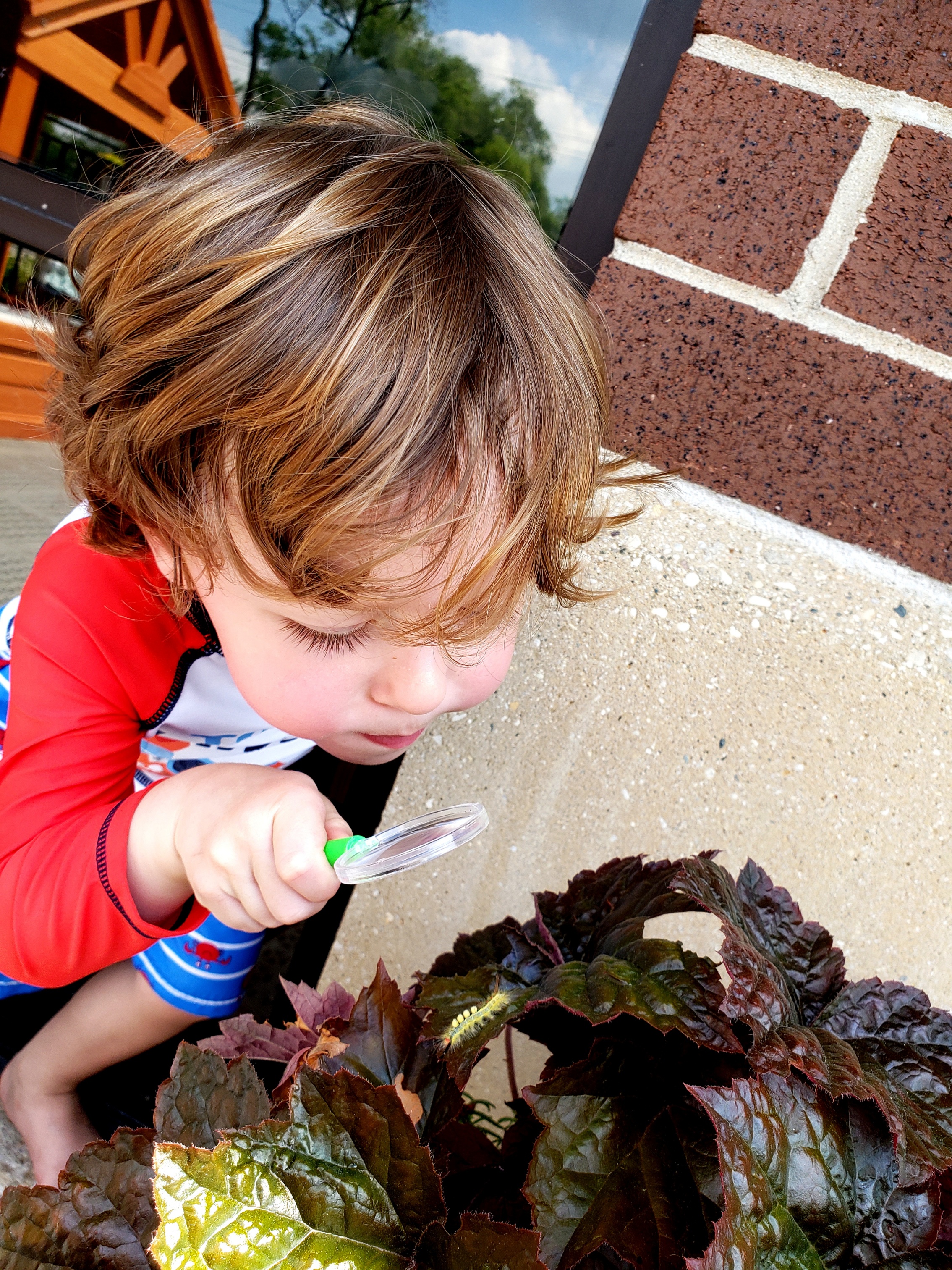 Devonshire Montessori School's Photo