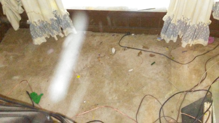 Who's Cleaning Janitorial Service
