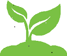 Mustard Seed Companion Care's Photo