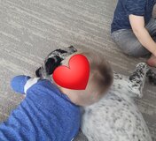Thumbnail 0