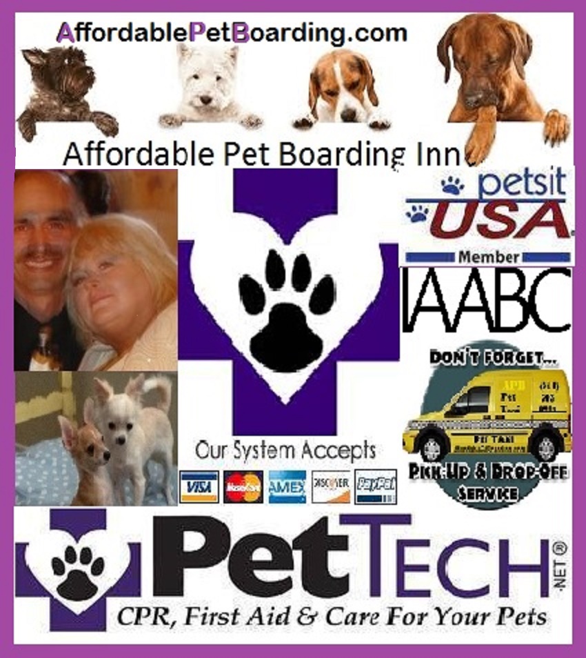 Affordable Pet Boarding Inn's Photo