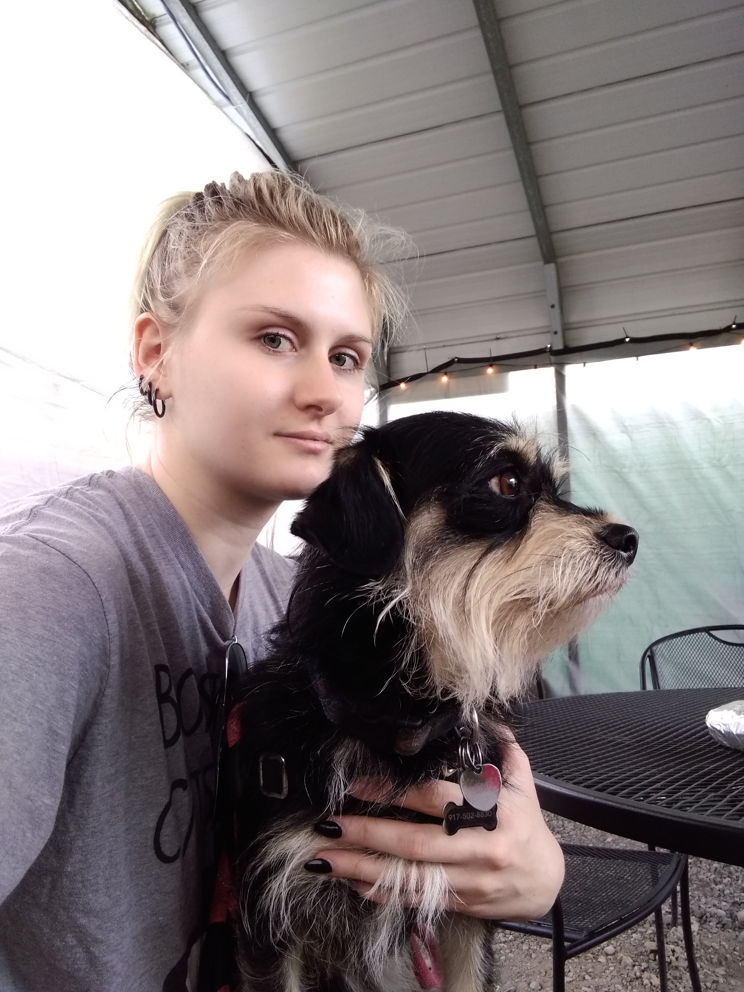 Sofia's Pet Care's Photo