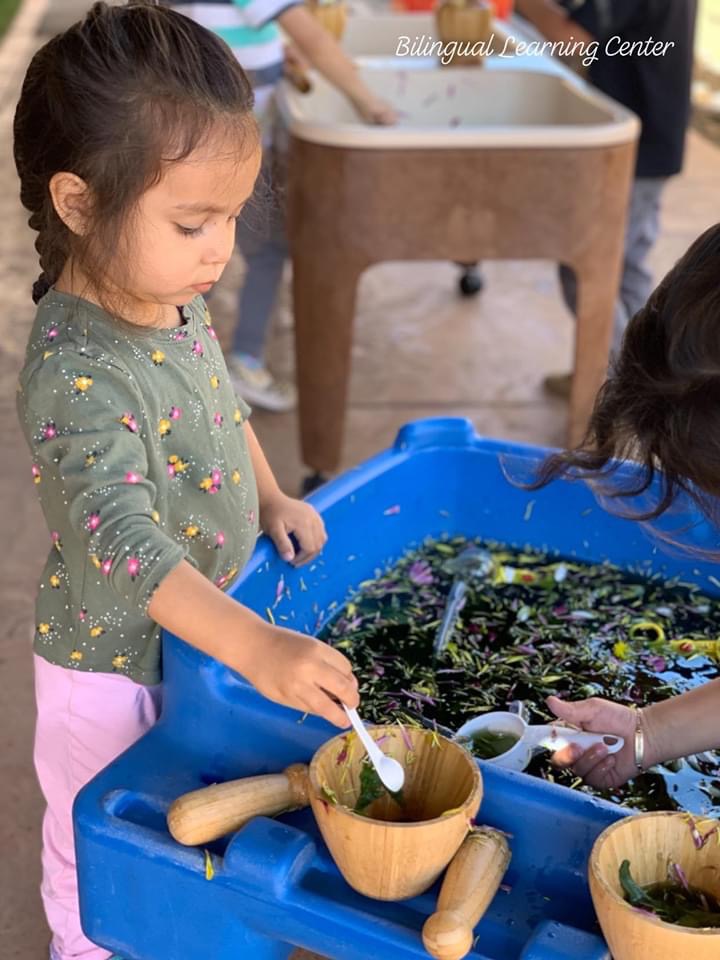 Bilingual Learning Childcare 24/7's Photo