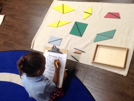 Wonderland Montessori Academy