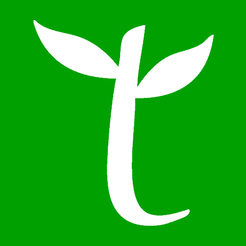 Little Tree Education Logo