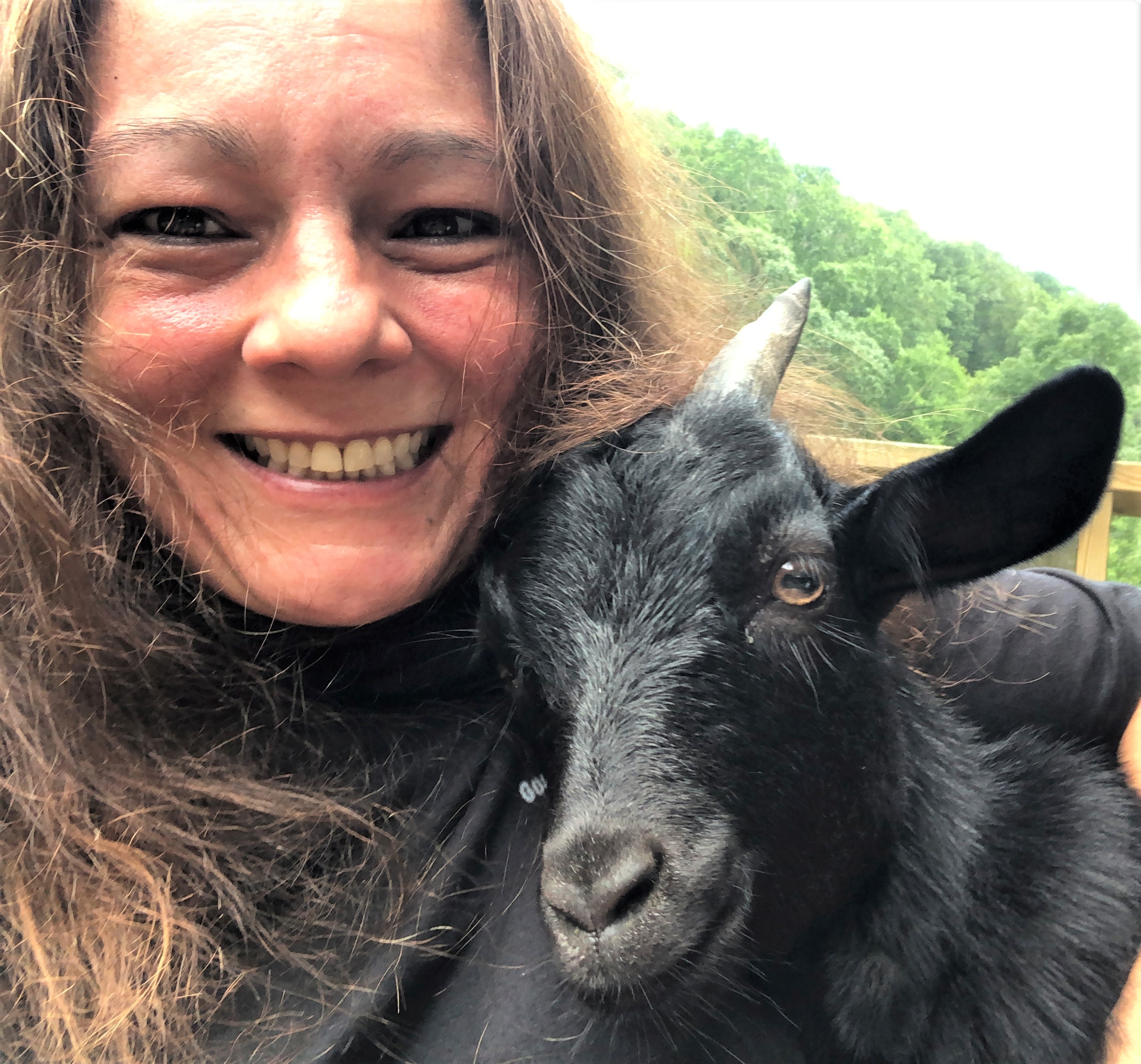 Faeryland's Farm's Photo