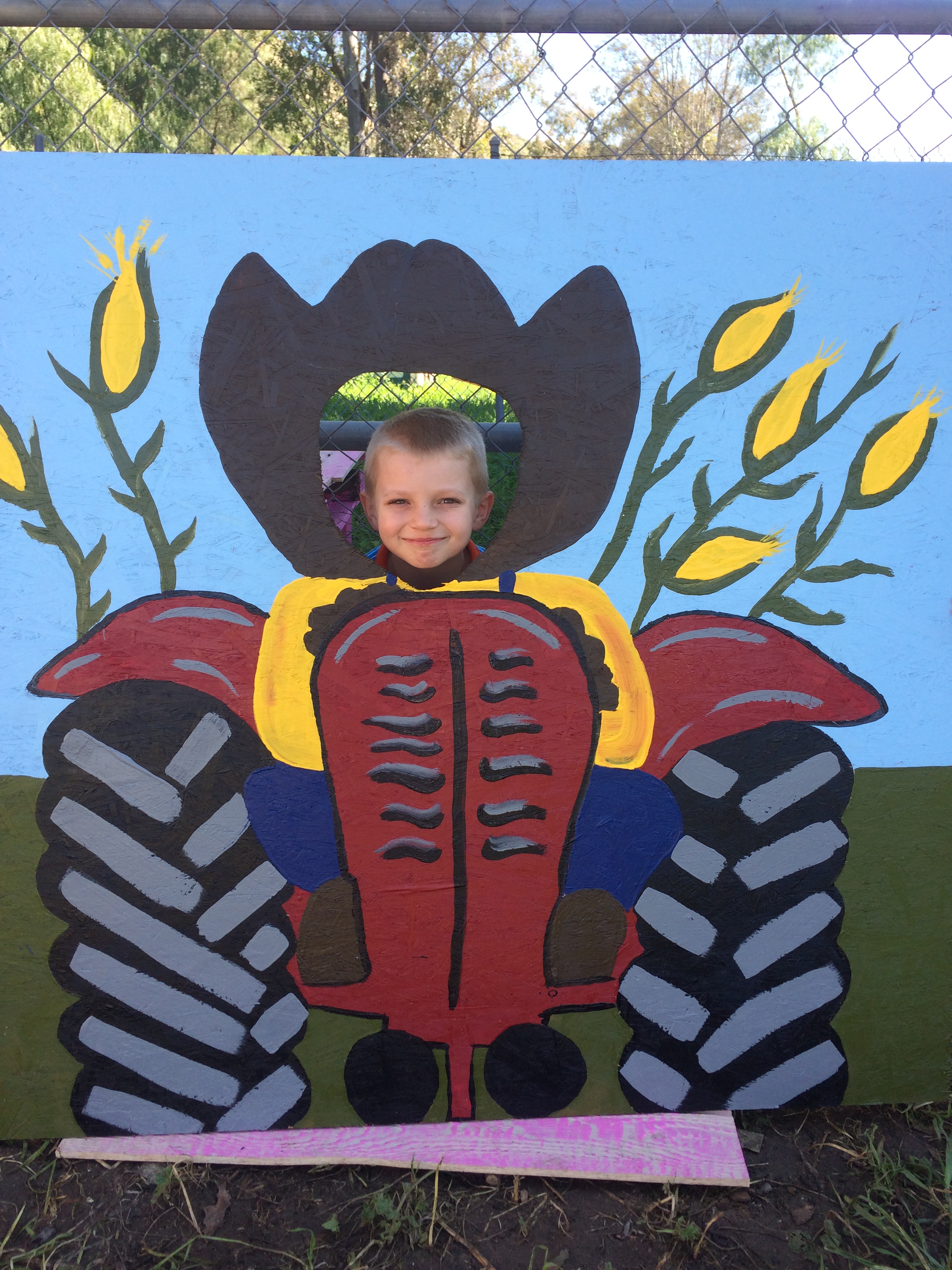 Susan's Family Childcare at Starwood Ranch's Photo